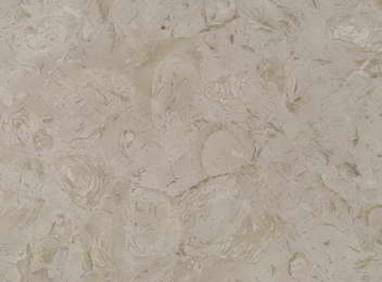 BEIGE FOSSILE SCURO